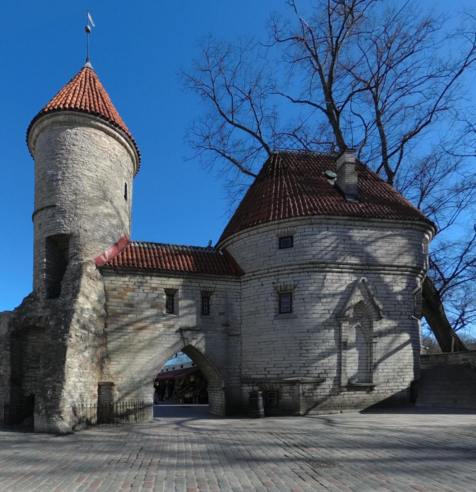Urban Escape In Tallinn'S Heart Extérieur photo